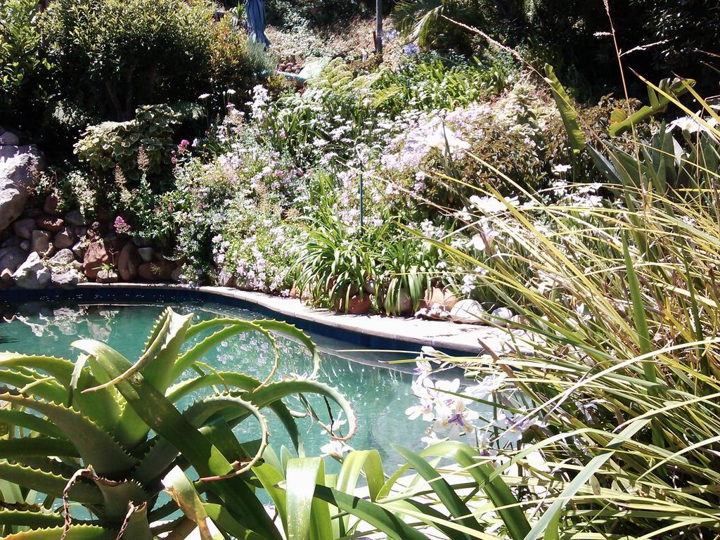 Отель Hout Bay Hideaway Экстерьер фото