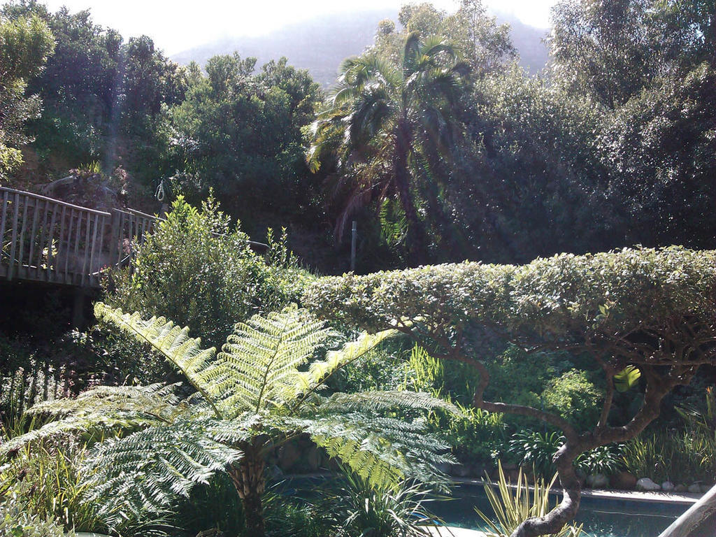 Отель Hout Bay Hideaway Номер фото
